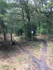 20180608_Warn-Le_4-11