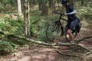 20180608_Warn-Le_4-12