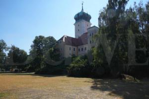 20180608_Warn-Le_7-05896